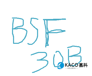 鲍斯BSF系列油雾过滤器BSF30B