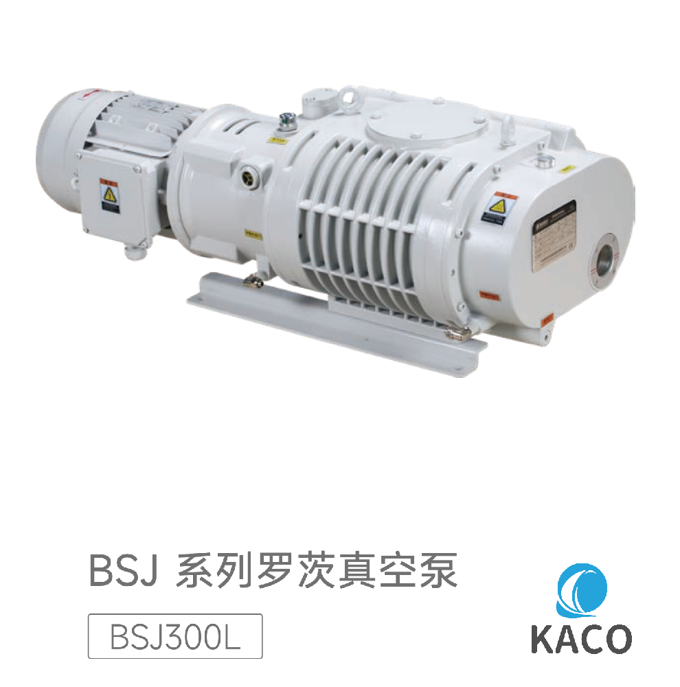 鲍斯BSJ300L罗茨真空泵